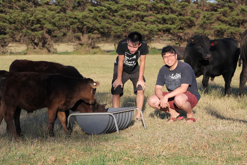 Bimbadeen Phillip Island Farm Retreats Ventnor Luaran gambar