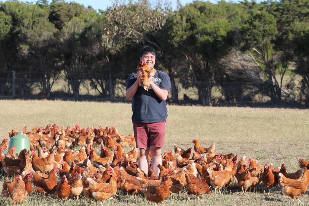 Bimbadeen Phillip Island Farm Retreats Ventnor Luaran gambar